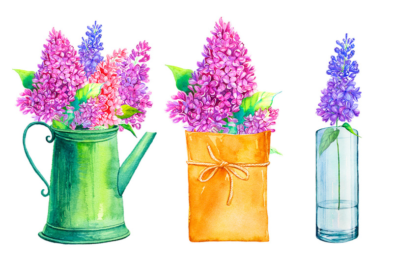 lilac-watercolor-illustrations
