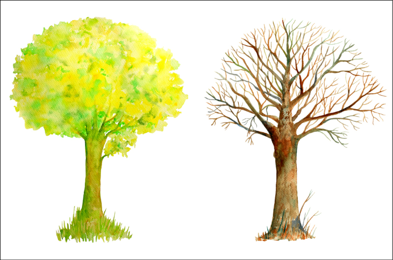watercolor-trees-four-seasons