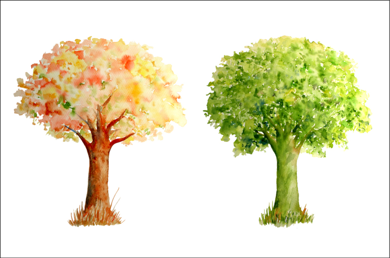 watercolor-trees-four-seasons