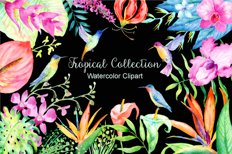 watercolor-clipart-tropical-collection