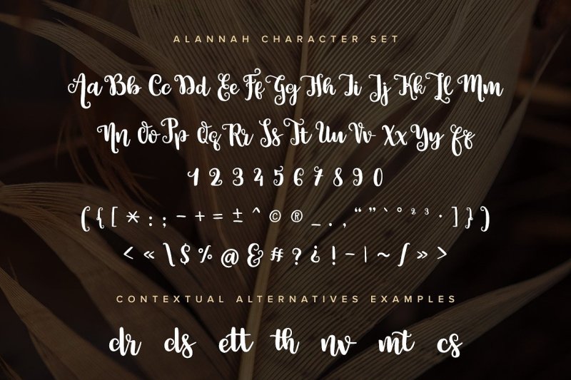 alannah-script-font