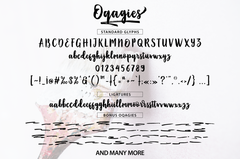 oqagies-brush-bonus