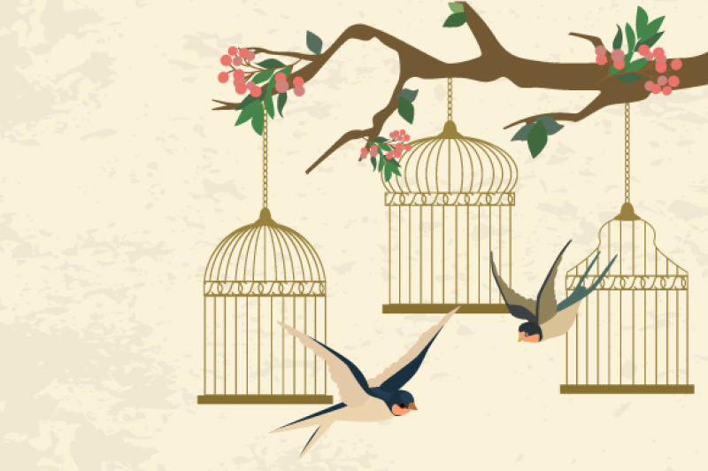 birdcages-set