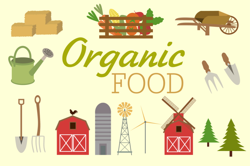 organic-food-american-farm