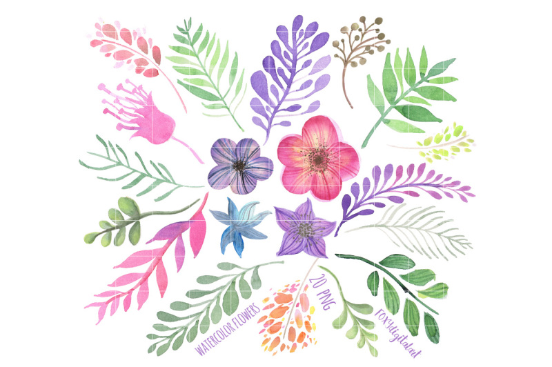watercolor-flowers-hand-painted-clipart