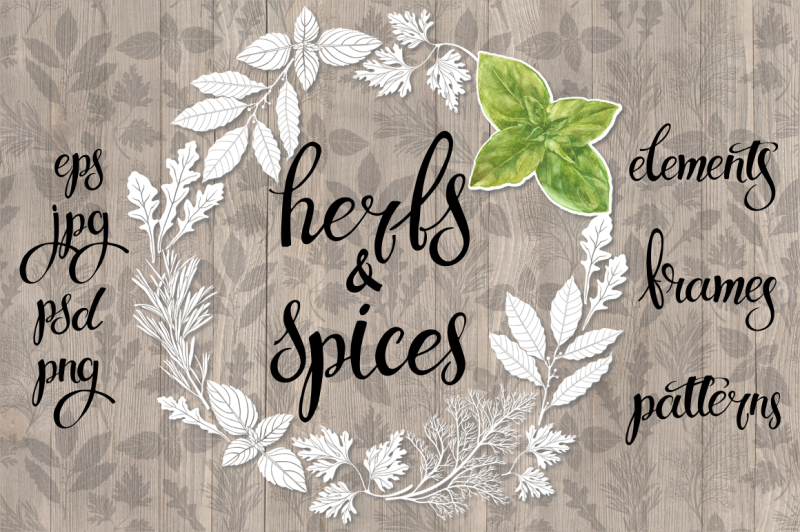 spices-and-herbs