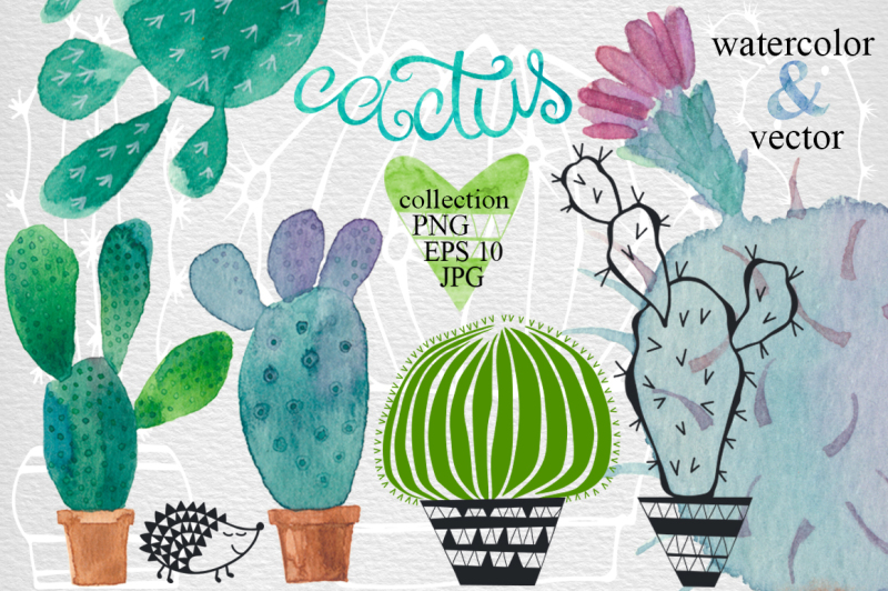 cactus-set