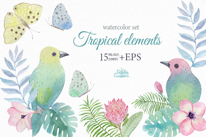 tropical-watercolor-elements