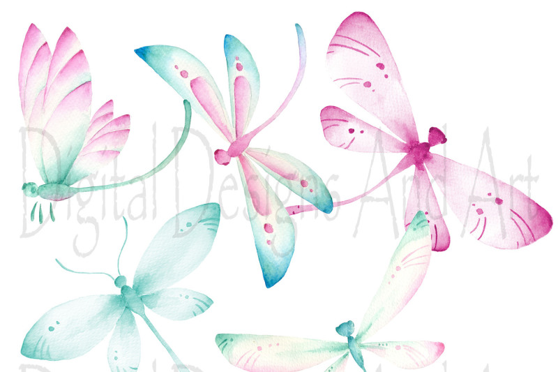 dragonfly-clipart