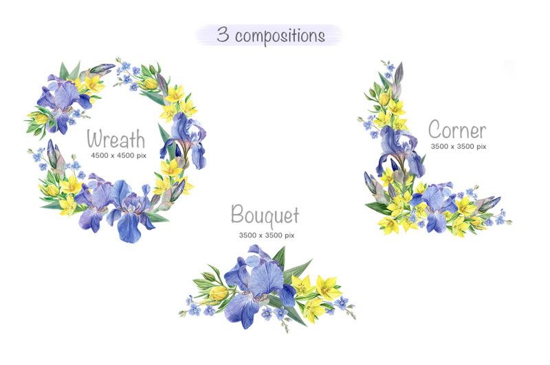 blue-and-yellow-flowers-set
