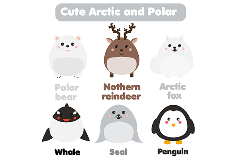 cute-kawaii-arctic-and-polar-animals-children-style-isolated-design-elements-vector-seal-whale-penguin