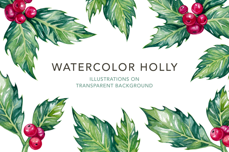 watercolor-holly-illustrations
