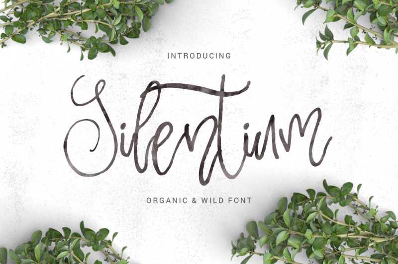 silentium-calligraphic-font