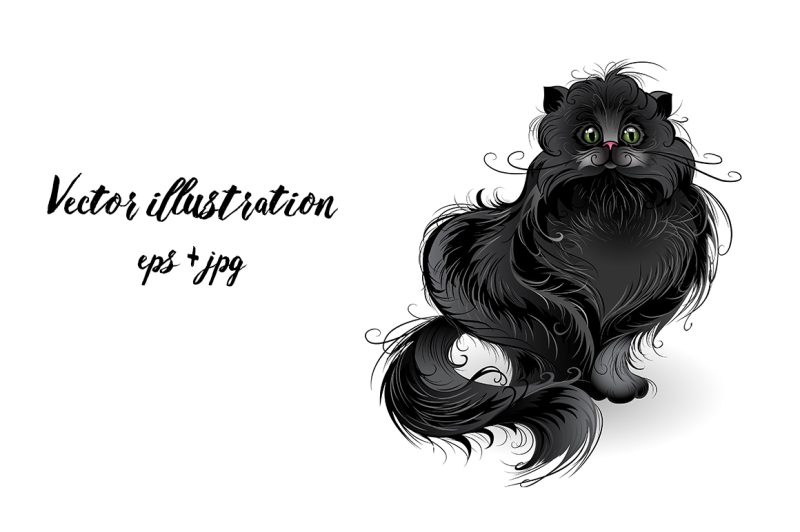 fluffy-black-cat