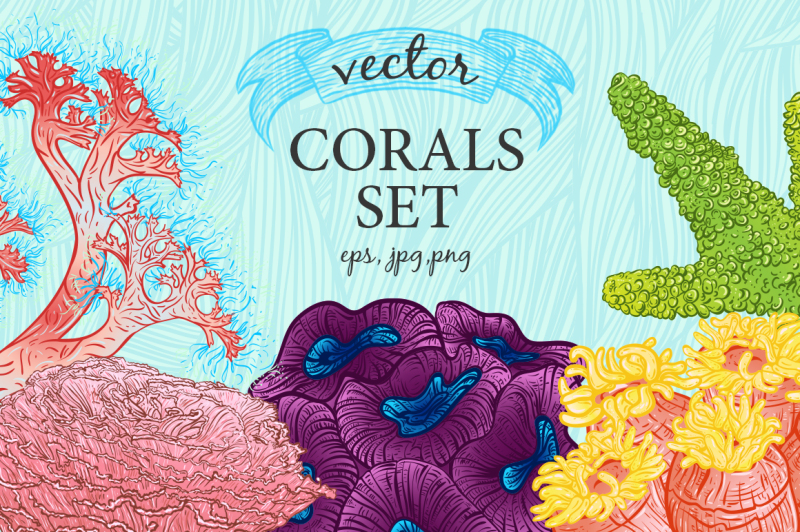 vector-corals-and-seaweeds-set