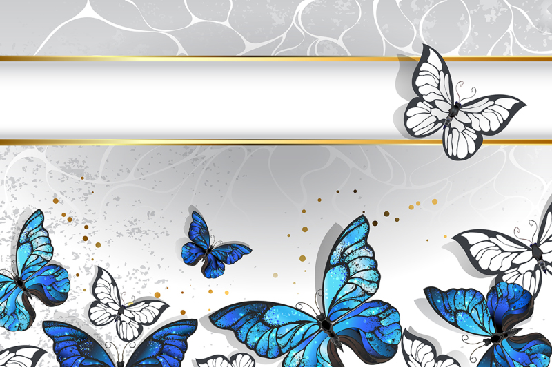 narrow-banner-with-butterflies-morpho