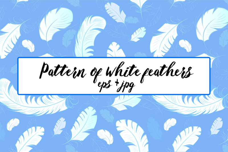 pattern-of-white-feathers