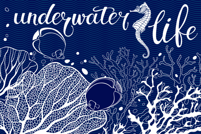 underwater-life