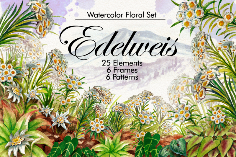 watercolor-edelweis