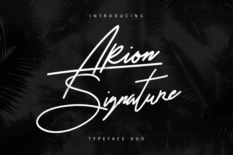 arion-signature-typeface