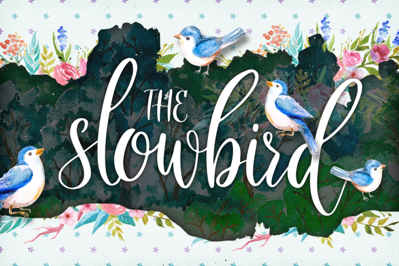 the-slowbird-typeface