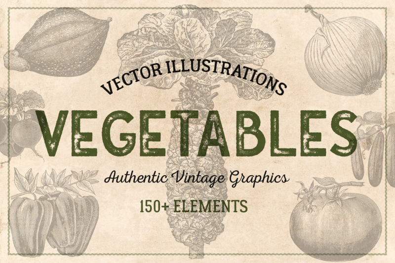 150-vintage-vegetables-vector