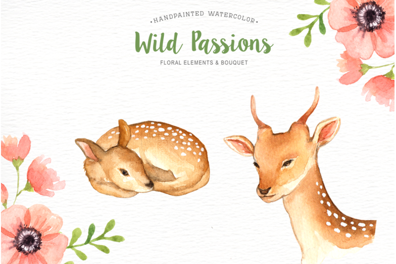 wild-passions-watercolor-cliparts