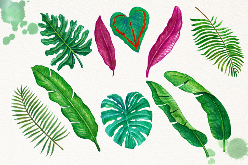 watercolor-tropical-leaves-in-the-jungle