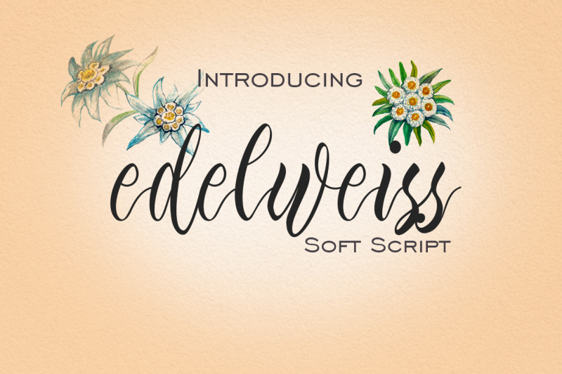 edelweiss-soft-script