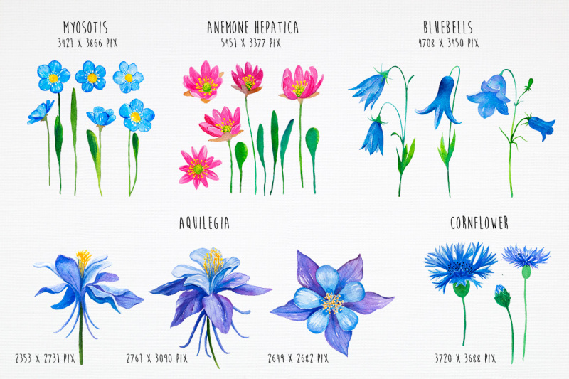 spring-flowers-watercolor