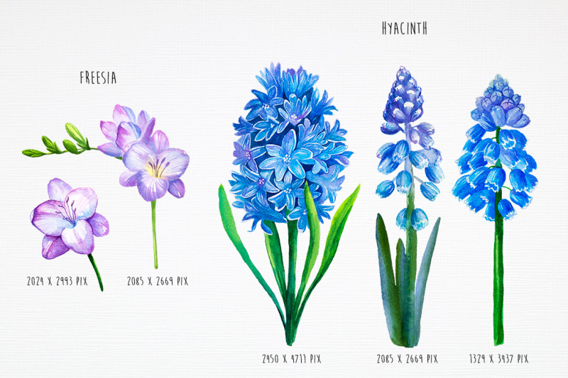 spring-flowers-watercolor