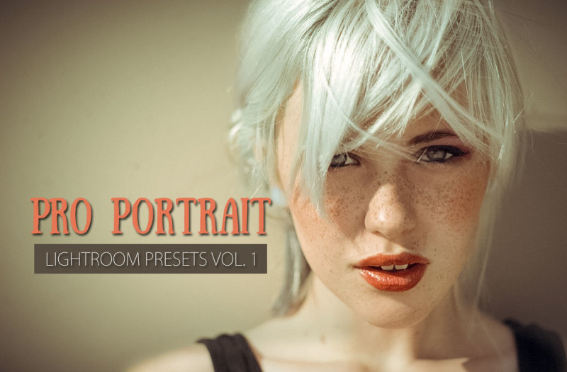 10-pro-portrait-lightroom-presets