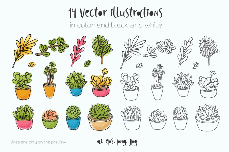succulents-14-vector-illustrations