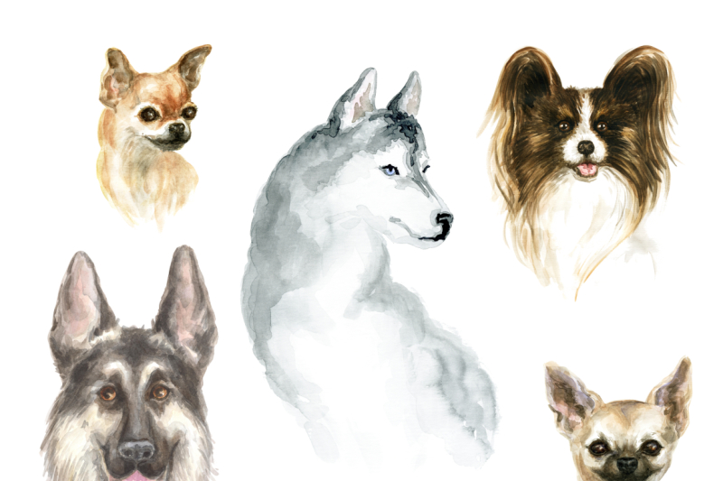 hand-drawn-portraits-of-dogs-watercolor-painting