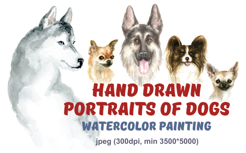 hand-drawn-portraits-of-dogs-watercolor-painting