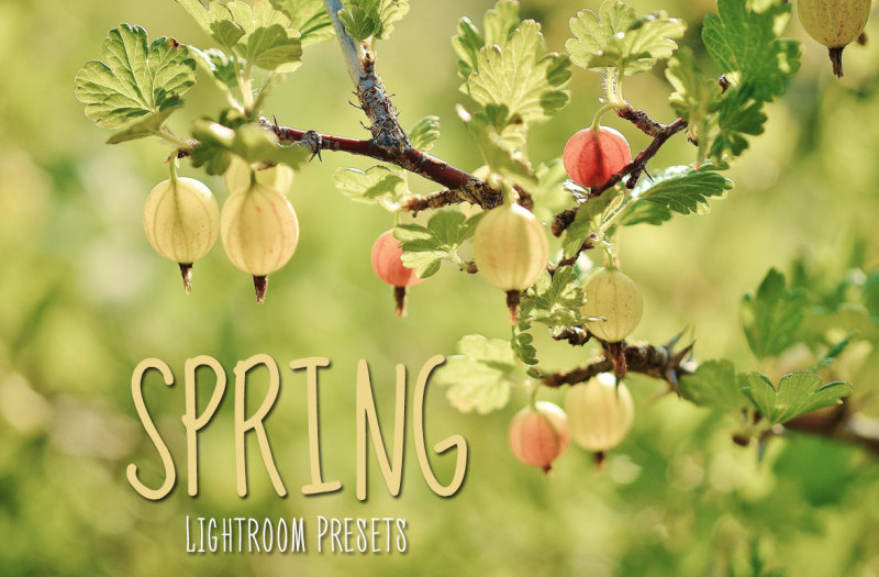 50-spring-lightroom-presets