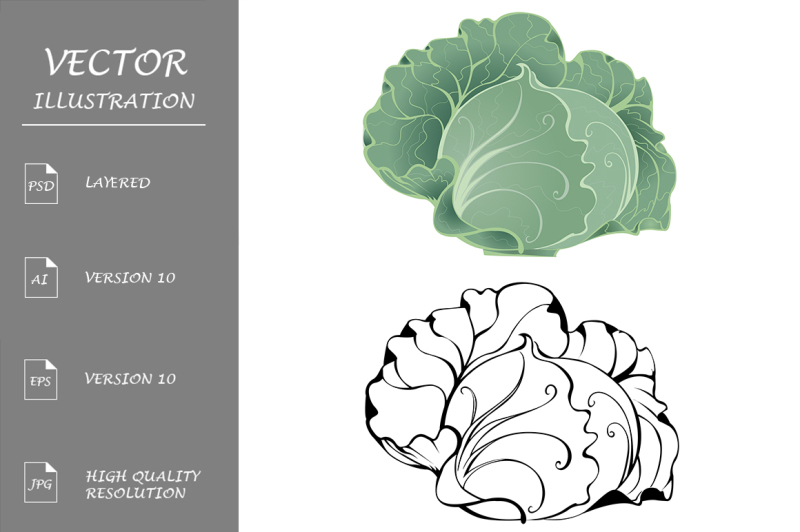 stylized-cabbage