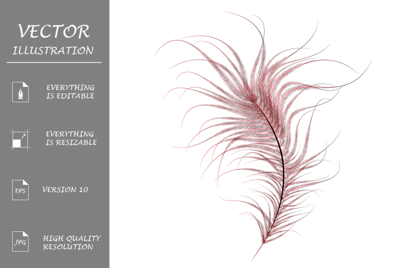 red-ostrich-feather