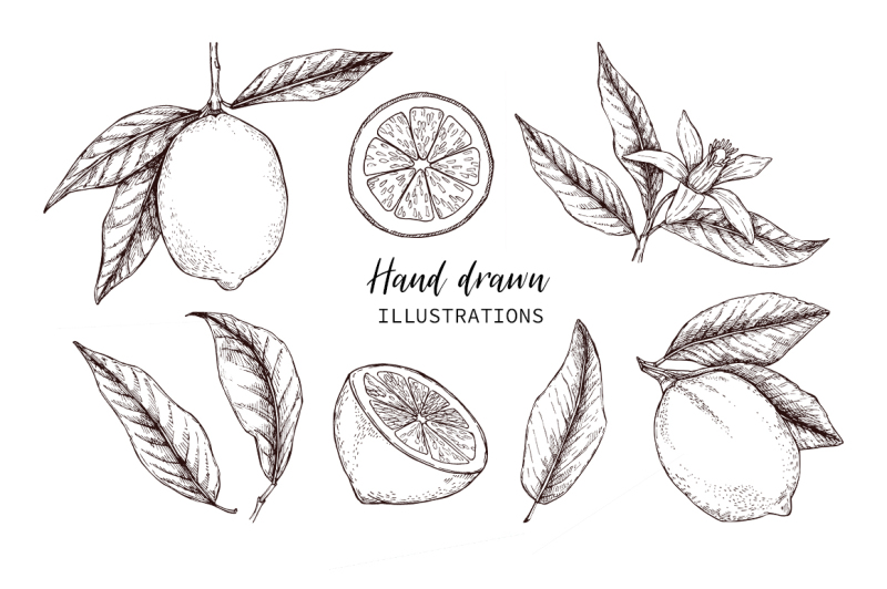 lemons-set-hand-drawn-and-watercolor-collection