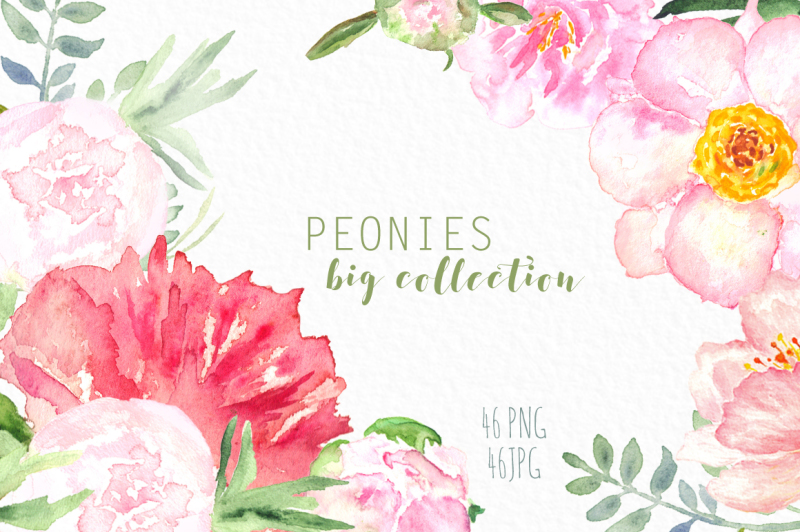 peonies-big-collection-clip-art