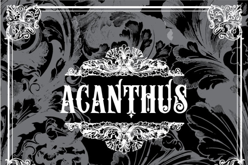 17-vintage-acanthus-flourishes