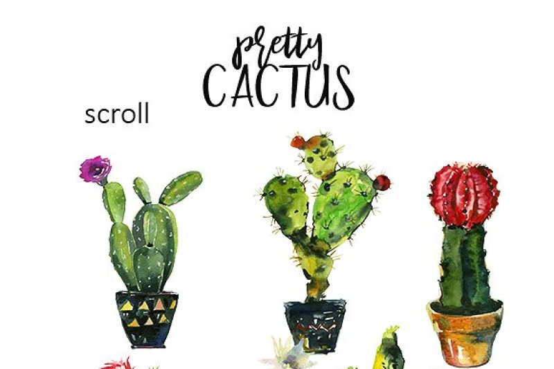 pretty-cactus-watercolor-clipart-set