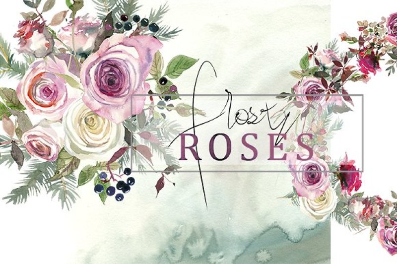 frosty-roses-watercolor-flowers-pink-purple-white-roses-collection