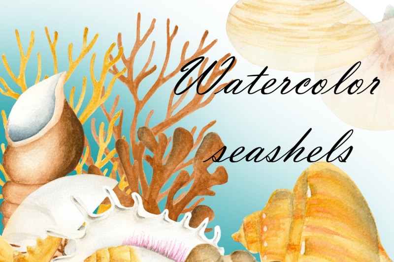 watercolor-seashells-clipart