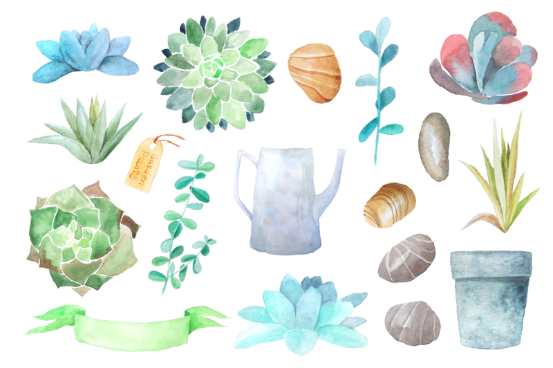 watercolor-succulents-collection