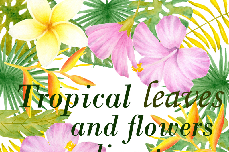tropical-leaves-and-flowers