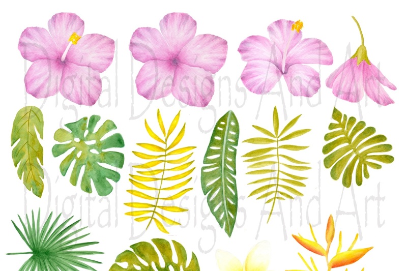 tropical-leaves-and-flowers