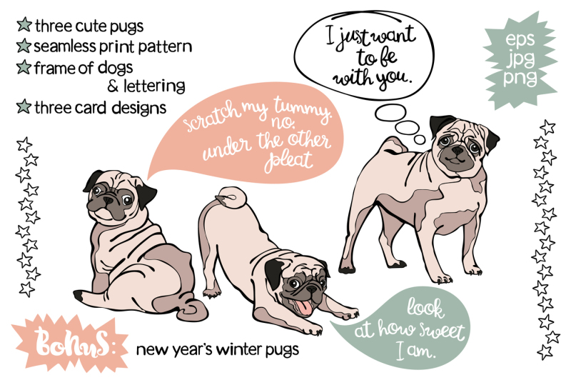 three-cute-pugs-are-funny-puppies