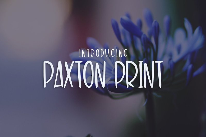 paxton-print