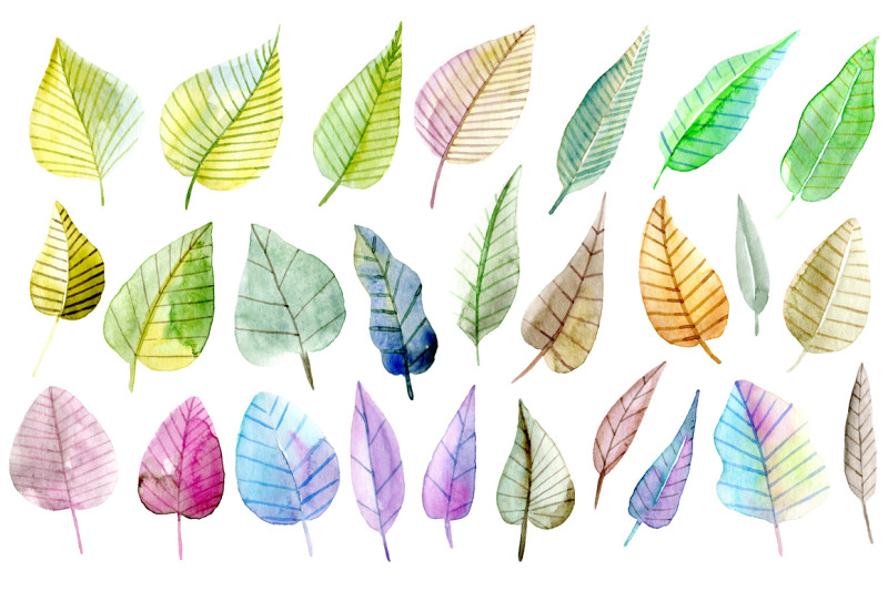 watercolor-leaves-png